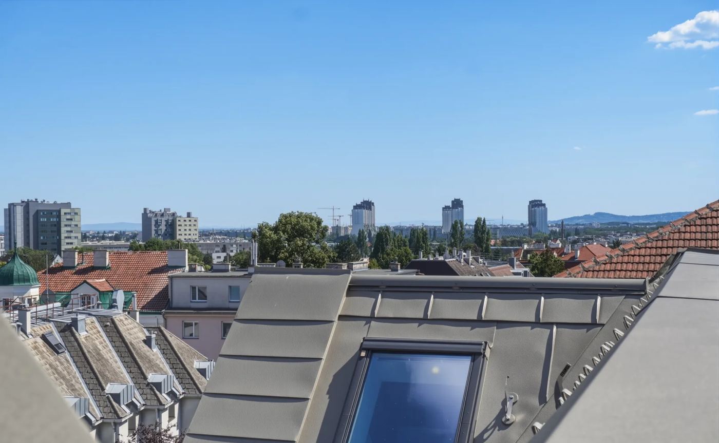 Blick über die Dächer von Wien